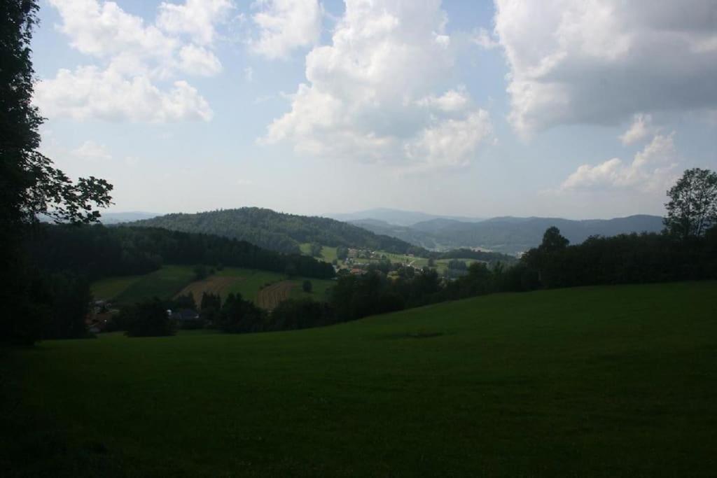 Ferienhaus Toso Villa Freyung Exteriör bild