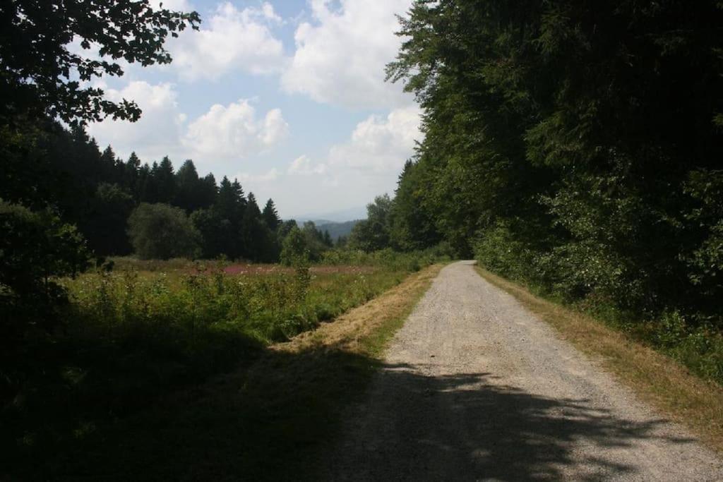 Ferienhaus Toso Freyung Exteriör bild